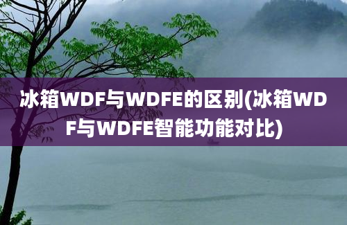 冰箱WDF与WDFE的区别(冰箱WDF与WDFE智能功能对比)