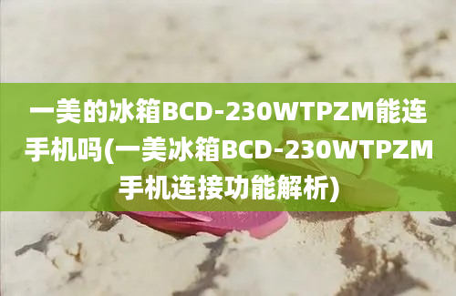 一美的冰箱BCD-230WTPZM能连手机吗(一美冰箱BCD-230WTPZM手机连接功能解析)