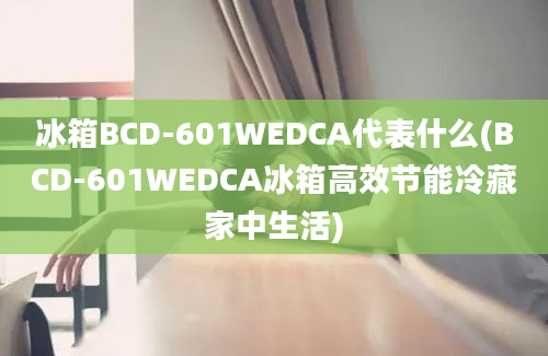 冰箱BCD-601WEDCA代表什么(BCD-601WEDCA冰箱高效节能冷藏家中生活)