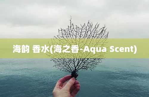 海韵 香水(海之香-Aqua Scent)