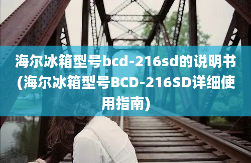 海尔冰箱型号bcd-216sd的说明书(海尔冰箱型号BCD-216SD详细使用指南)