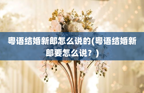 粤语结婚新郎怎么说的(粤语结婚新郎要怎么说？)