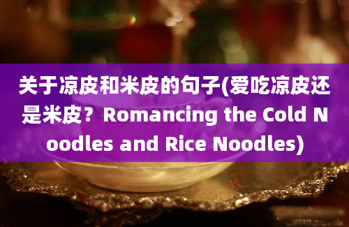 关于凉皮和米皮的句子(爱吃凉皮还是米皮？Romancing the Cold Noodles and Rice Noodles)