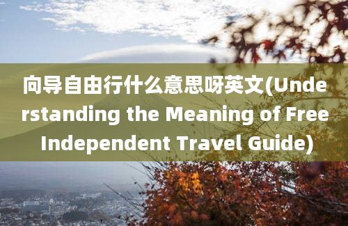 向导自由行什么意思呀英文(Understanding the Meaning of Free Independent Travel Guide)