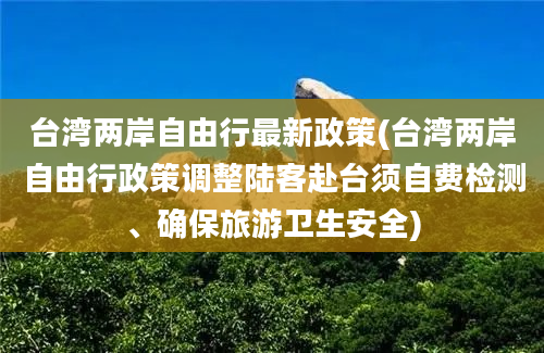 台湾两岸自由行最新政策(台湾两岸自由行政策调整陆客赴台须自费检测、确保旅游卫生安全)