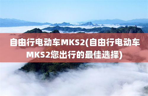 自由行电动车MKS2(自由行电动车MKS2您出行的最佳选择)
