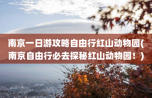 南京一日游攻略自由行红山动物园(南京自由行必去探秘红山动物园！)