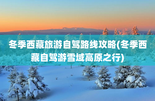冬季西藏旅游自驾路线攻略(冬季西藏自驾游雪域高原之行)