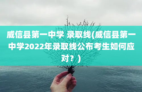 威信县第一中学 录取线(威信县第一中学2022年录取线公布考生如何应对？)
