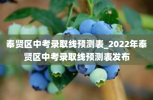 奉贤区中考录取线预测表_2022年奉贤区中考录取线预测表发布