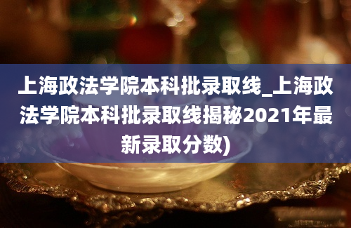 上海政法学院本科批录取线_上海政法学院本科批录取线揭秘2021年最新录取分数)