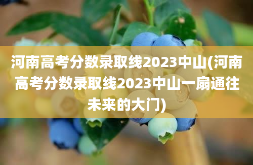 河南高考分数录取线2023中山(河南高考分数录取线2023中山一扇通往未来的大门)