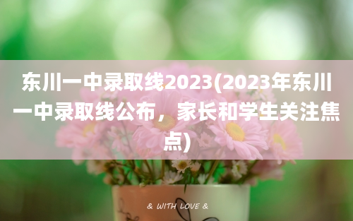 东川一中录取线2023(2023年东川一中录取线公布，家长和学生关注焦点)