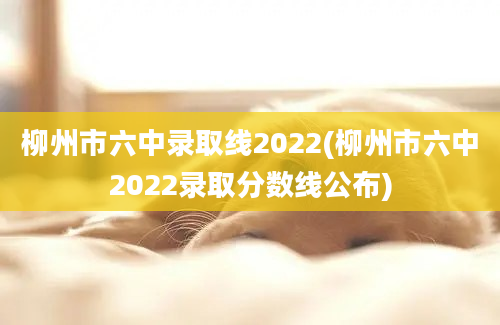 柳州市六中录取线2022(柳州市六中2022录取分数线公布)