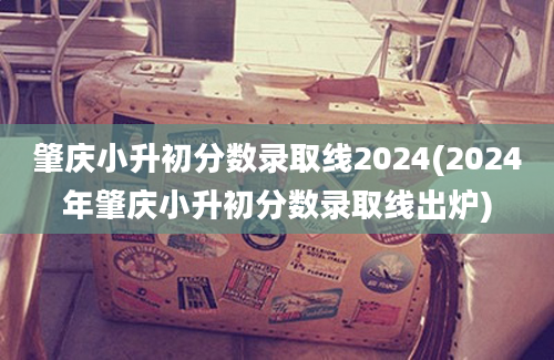 肇庆小升初分数录取线2024(2024年肇庆小升初分数录取线出炉)