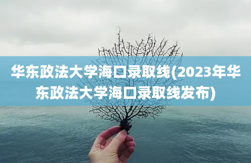 华东政法大学海口录取线(2023年华东政法大学海口录取线发布)