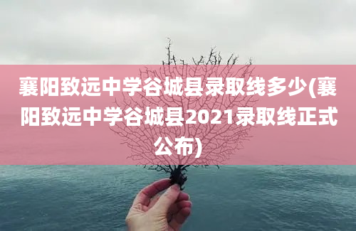 襄阳致远中学谷城县录取线多少(襄阳致远中学谷城县2021录取线正式公布)