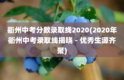 衢州中考分数录取线2020(2020年衢州中考录取线揭晓 - 优秀生源齐聚)