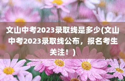 文山中考2023录取线是多少(文山中考2023录取线公布，报名考生关注！)