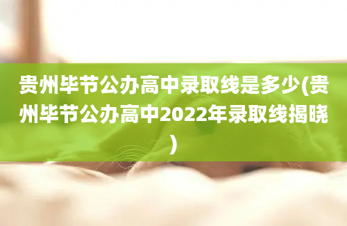 贵州毕节公办高中录取线是多少(贵州毕节公办高中2022年录取线揭晓)