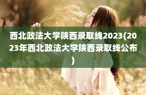西北政法大学陕西录取线2023(2023年西北政法大学陕西录取线公布)