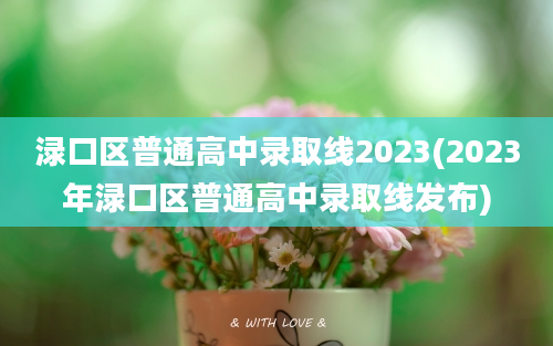 渌口区普通高中录取线2023(2023年渌口区普通高中录取线发布)
