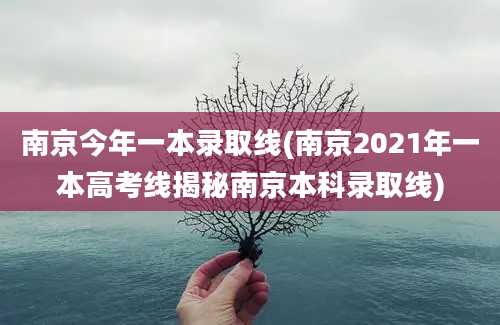 南京今年一本录取线(南京2021年一本高考线揭秘南京本科录取线)
