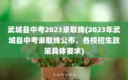 武城县中考2023录取线(2023年武城县中考录取线公布，各校招生政策具体要求)