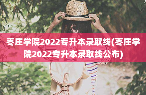 枣庄学院2022专升本录取线(枣庄学院2022专升本录取线公布)