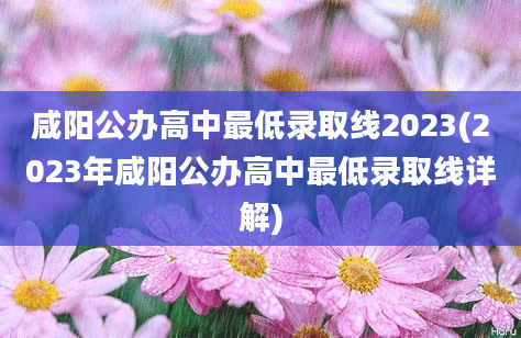 咸阳公办高中最低录取线2023(2023年咸阳公办高中最低录取线详解)