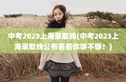 中考2023上海录取线(中考2023上海录取线公布看看你够不够！)