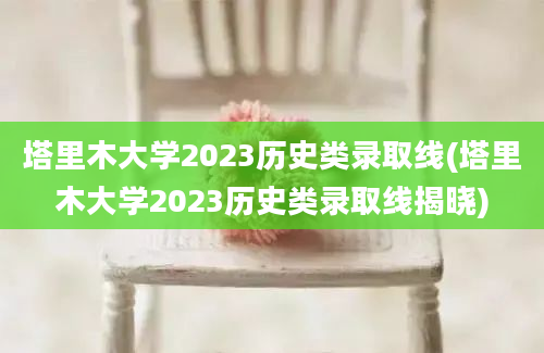 塔里木大学2023历史类录取线(塔里木大学2023历史类录取线揭晓)