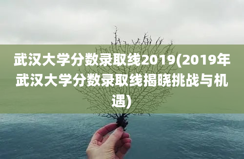 武汉大学分数录取线2019(2019年武汉大学分数录取线揭晓挑战与机遇)