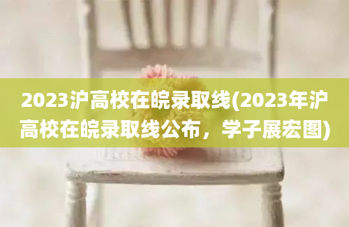 2023沪高校在皖录取线(2023年沪高校在皖录取线公布，学子展宏图)