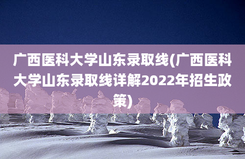 广西医科大学山东录取线(广西医科大学山东录取线详解2022年招生政策)