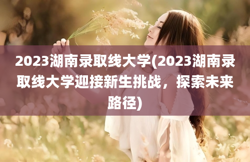 2023湖南录取线大学(2023湖南录取线大学迎接新生挑战，探索未来路径)
