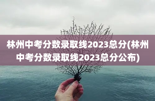 林州中考分数录取线2023总分(林州中考分数录取线2023总分公布)