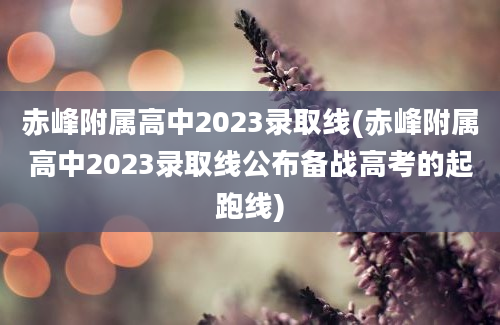 赤峰附属高中2023录取线(赤峰附属高中2023录取线公布备战高考的起跑线)