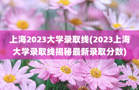 上海2023大学录取线(2023上海大学录取线揭秘最新录取分数)