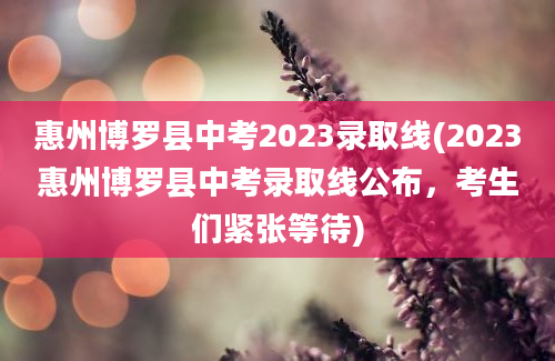 惠州博罗县中考2023录取线(2023惠州博罗县中考录取线公布，考生们紧张等待)