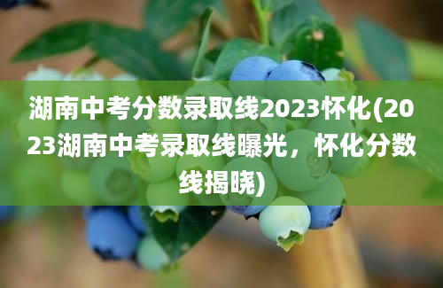 湖南中考分数录取线2023怀化(2023湖南中考录取线曝光，怀化分数线揭晓)