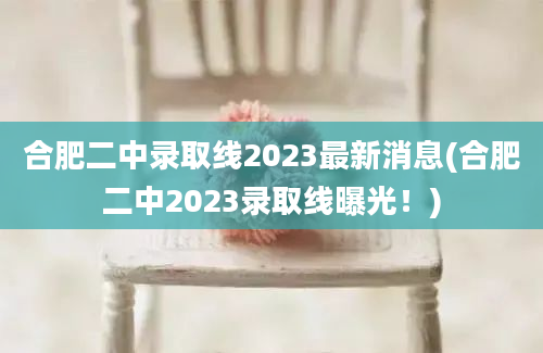合肥二中录取线2023最新消息(合肥二中2023录取线曝光！)