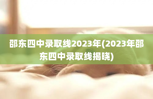 邵东四中录取线2023年(2023年邵东四中录取线揭晓)