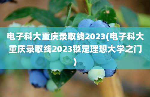 电子科大重庆录取线2023(电子科大重庆录取线2023锁定理想大学之门)