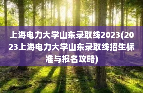 上海电力大学山东录取线2023(2023上海电力大学山东录取线招生标准与报名攻略)