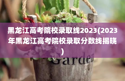 黑龙江高考院校录取线2023(2023年黑龙江高考院校录取分数线揭晓)
