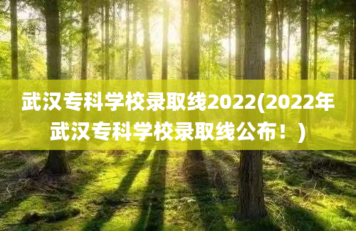 武汉专科学校录取线2022(2022年武汉专科学校录取线公布！)