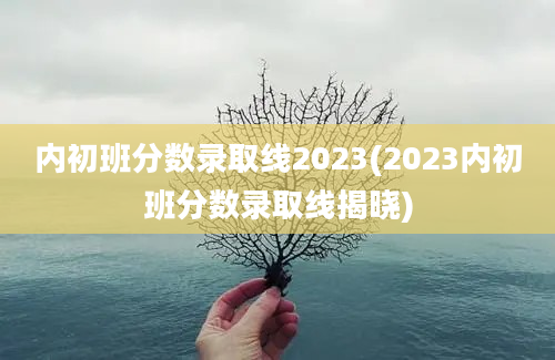 内初班分数录取线2023(2023内初班分数录取线揭晓)