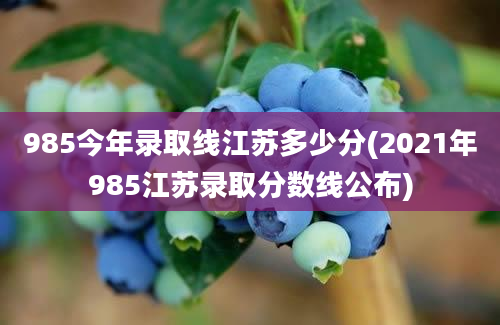 985今年录取线江苏多少分(2021年985江苏录取分数线公布)