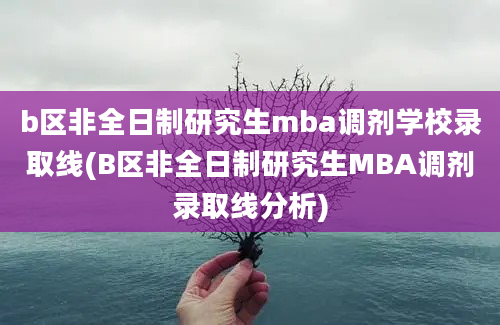 b区非全日制研究生mba调剂学校录取线(B区非全日制研究生MBA调剂录取线分析)
